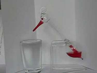 Photograph of a novelty toy known as the drinking bird. It is made up of two glass bulbs connected to each other by a glass tube. The upper bulb is shaped like a bird's head, and the tube looks like its neck. The lower bulb, which may be compared to the abdomen, contains methylene chloride that has been colored red. The bottom of the neck is attached to a pivot, and in front of the bird's head is a glass of water.