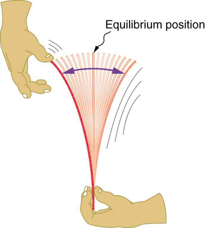 Nesta figura, uma mão segurando uma régua firmemente na parte inferior é mostrada. A outra mão puxa a parte superior da régua e depois a solta. Em seguida, a régua começa a vibrar e oscila em torno da posição de equilíbrio. Uma linha vertical é mostrada para marcar a posição de equilíbrio. Uma seta curva de duas pontas mostra a extensão da oscilação.