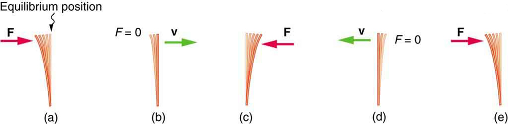 Uma série de ilustrações de réguas vibratórias de plástico é mostrada demonstrando a lei de Hooke.