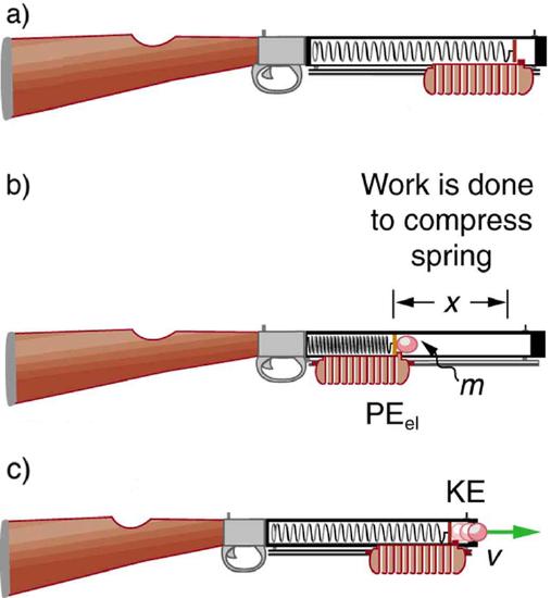 The figure a shows an artistic impression of a tranquilizer gun, which shows the inside of it revealing the gun spring and a panel just below it, in the outside area, attached to the spring. This stage shows the gun before it is cocked, and the spring is uncompressed covering the entire inside area. The figure b shows the gun with the spring in the compressed mode. The spring has been compressed to a distance x, where x distance shows the vacant area inside the gun through which the spring has been compressed. The panel is also moving along the spring. And a bullet of mass m is shown at the front of the compressed spring. The spring here has elastic potential energy, represented by P E sub e l. The figure c is the third stage of the above two stages of the gun. The spring here is released from the compressed stage releasing the bullet in the outer forward direction with velocity V and the spring’s potential energy is converted into kinetic energy, represented here by K E.