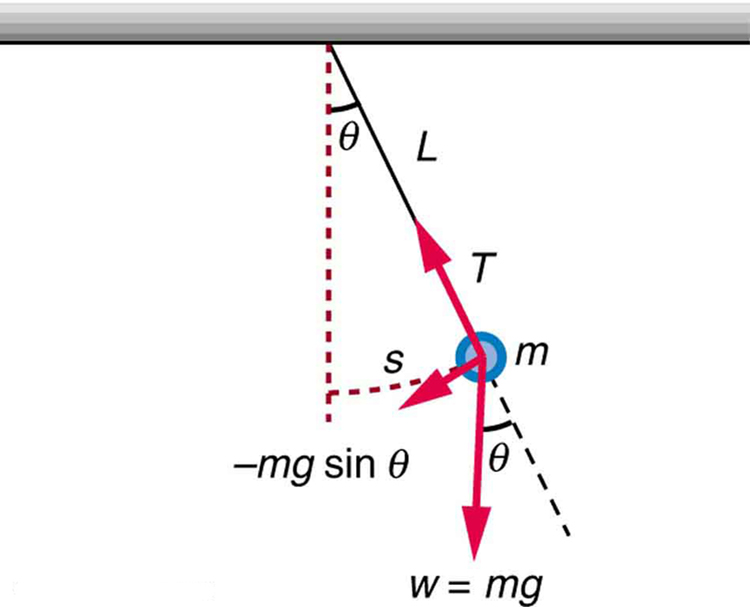 Na figura, uma barra horizontal é desenhada. Uma linha pontilhada perpendicular do meio da barra, representando o equilíbrio do pêndulo, é desenhada para baixo. Uma corda de comprimento L é amarrada à barra no ponto de equilíbrio. Uma bobina circular de massa m é amarrada à extremidade da corda, que está a uma distância s do equilíbrio. A corda está em um ângulo de teta com o equilíbrio na barra. Uma seta vermelha mostrando o tempo T da oscilação da multidão é mostrada ao longo da linha da corda em direção à barra. Uma flecha do bob em direção ao equilíbrio mostra sua força restauradora asm g sine theta. Uma flecha perpendicular do bob em direção ao solo mostra sua massa como W igual a mg, e esta flecha está em um ângulo teta com a direção descendente da corda.