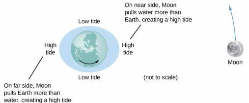 The figure is an illustration of the earth centered within an exaggerated ellipse whose major axis is horizontal. The moon is shown to the right of the earth, moving counterclockwise. The left side of the ellipse is labeled as High tide, with a note that says “on far side, moon pulls earth more than water, creating a high tide.” The right side of the ellipse is labeled as High tide, with a note that says “on near side, moon pulls water more than earth, creating a high tide.” The top and bottom of the ellipse are labeled “Low tide.”