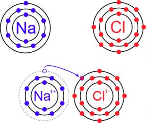 Lily Zhao salt-300x254.jpg