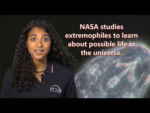 Thumbnail for the embedded element "Our World: What is an Extremophile?"