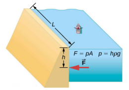 Figure is a schematic drawing of a dam with length L and height h erected on the river. There is a small canoe in the river with a single passenger. The formulas F equals p times A, and p equals h times p times g are included in this illustration.