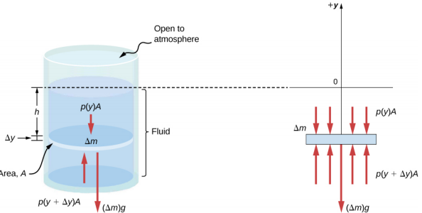 Figure A is a schematic drawing of a cylinder filled with fluid and open to the atmosphere on the top. A disk of mass Delta m, surface area A identical to the surface area of the cylinder, and height Delta y is placed in the fluid. A fluid of height h is located above the disk. Figure B is a schematic drawing of the force Delta m x g expressed by the disk, p (y) x A applied by the fluid above the disk, and p (y + Delta y) x A applied by the fluid below the disk.