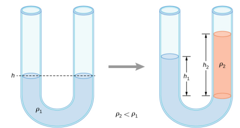 La figure de gauche montre un tube en U rempli d'un liquide. Le liquide se trouve à la même hauteur des deux côtés du tube en U. La figure de droite montre un tube en U rempli de deux liquides de densités différentes. Les liquides se trouvent à des hauteurs différentes des deux côtés du tube en U.