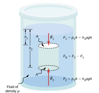 A figura é um desenho esquemático do cilindro cheio de fluido e aberto para a atmosfera de um lado. Um objeto imaginário com a área de superfície A, que é menor que a área da superfície do cilindro, é submerso no fluido. A distância entre a parte superior do fluido e a parte superior do objeto é h1. A distância entre a parte superior do fluido e a parte inferior do objeto é h2. As forças F1 e F2 são aplicadas na parte superior e inferior do objeto, respectivamente.