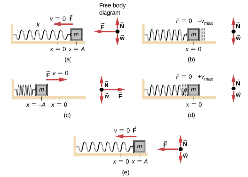 Os diagramas de movimento e corpo livre de uma massa presa a uma mola horizontal, constante de mola k, em vários pontos de seu movimento. Na figura (a), a massa é deslocada para a posição x = A à direita de x =0 e liberada do repouso (v=0.) A mola está esticada. A força na massa está à esquerda. O diagrama de corpo livre tem peso w para baixo, a força normal N para cima e igual ao peso e a força F para a esquerda. (b) A massa está em x = 0 e se movendo na direção x negativa com velocidade — v sub max. A primavera está relaxada. A força na massa é zero. O diagrama de corpo livre tem peso w para baixo, a força normal N para cima e igual ao peso. (c) A massa está em menos A, à esquerda de x = 0 e está em repouso (v =0.) A mola está comprimida. A força F está à direita. O diagrama de corpo livre tem peso w para baixo, a força normal N para cima e igual ao peso e a força F para a direita. (d) A massa está em x = 0 e se movendo na direção x positiva com velocidade mais v sub max. A primavera está relaxada. A força na massa é zero. O diagrama de corpo livre tem peso w para baixo, a força normal N para cima e igual ao peso. (e) a massa está novamente em x = A à direita de x =0 e em repouso (v=0.) A mola está esticada. A força na massa está à esquerda. O diagrama de corpo livre tem peso w para baixo, a força normal N para cima e igual ao peso e a força F para a esquerda.