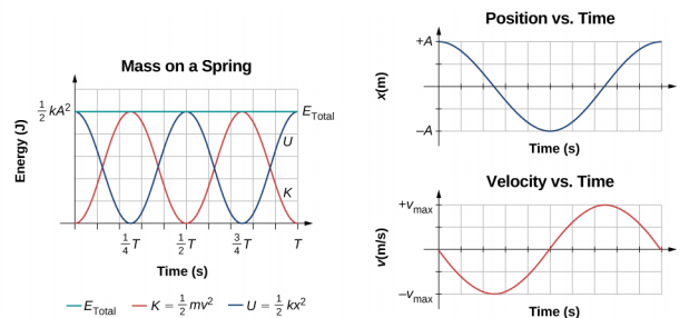 弹簧上质量的能量、位置和速度作为时间函数的图表。 左边是以焦耳 (J) 为单位的能量与时间（以秒为单位）的对比图。 垂直轴范围为零到一半 k A 的平方。 水平轴范围为 0 到 T。显示了三条曲线。 总能量 E 子总量显示为绿线。 总能量是一个常数，其值为一半 k A 的平方。 动能 K 等于一半 m v 的平方，显示为红色曲线。 K 从 t=0 处的零能量开始，在时间 1/4 T 处上升到最大值为一半 k A 的平方，然后在 1/2 T 时减小到零，在 3/4 T 处上升到一半 k A 的平方，在 T 处再次为零。势能 U 等于一半 k x 平方显示为蓝色曲线。 U 起始最大能量为一半 k A 在 t=0 处平方，在 1/4 T 时减至零，在 1/2 T 处上升到一半 k A 的平方，在 3/4 T 时再次为零，在 t=t 时又达到最大值为半 k A 的平方。右边是速度与时间关系图上方的位置与时间的关系图。 位置图以 x 为单位，范围从 —A 到 +A，时间单位为秒。 位置位于 +A，在 t=0 处减小，达到最小值 —a，然后上升到 +A。速度图以 m/s 为单位为 v，范围从负 v sub max 到加 v sub max 不等，相对于以秒为单位的时间。 速度为零，在 t=0 时降低，在位置图为零的同时达到最小值-负 v sub max。 当位置处于 x=-a 时，速度再次为零；当位置为零时，速度上升到加 v sub max；在图表末尾 v=0，位置再次为最大值。