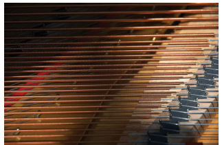 A close up photo of the strings in a piano