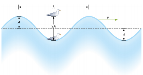 La figure montre une vague dont la position d'équilibre est marquée par une ligne horizontale. La distance verticale entre la ligne et la crête de la vague est désignée par x et celle entre la ligne et le creux est désignée par moins x. Un oiseau se balançant de haut en bas dans la vague est représenté. La distance verticale parcourue par l'oiseau est étiquetée 2x. La distance horizontale entre deux crêtes consécutives est étiquetée lambda. Un vecteur pointant vers la droite est étiqueté v indice w.