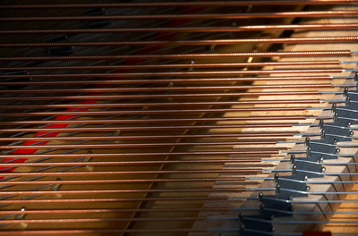 A figura mostra o painel do piano contendo as cordas, que estão visivelmente em linhas horizontais. Logo abaixo das cordas está o bloco de madeira do piano contendo os diferentes tipos de guidão e blocos de cordas.