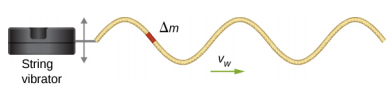 La figure montre une boîte à gauche, intitulée Vibromasseur à cordes. Une chaîne y est attachée et forme une onde transversale qui se propage vers la droite avec l'indice de vitesse v w. Une petite partie de la chaîne est mise en évidence et est étiquetée delta m.