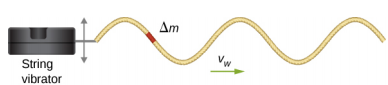 Figure shows a box to the left, labeled string vibrator. A string is attached to this and forms a transverse wave that propagates towards the right with velocity v subscript w. A small portion of the string is highlighted and is labeled delta m.