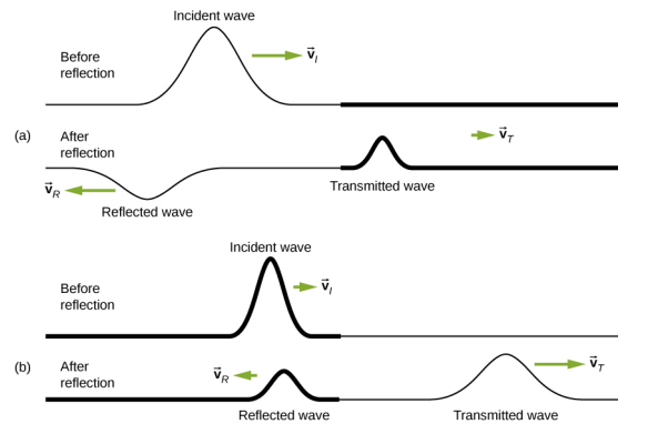 Figure a shows two strings, the top one labeled before reflection and the bottom one labeled after reflection. The top string has a pulse labeled incident wave, which propagates to the right with velocity v subscript i. The bottom string has two pulses. The one on the left is labeled transmitted wave. This propagates to the right with velocity v subscript T. The wave on the left is labeled reflected wave. It moves to the left with velocity v subscript R. It has a smaller amplitude from the incident wave and is upside down. Figure b shows two strings, the top one labeled before reflection and the bottom one labeled after reflection. The top string has a pulse labeled incident wave, which propagates to the right with velocity v subscript i. The bottom string has two pulses. The one on the left is labeled transmitted wave and the one on the right is labeled reflected wave. Both are formed at the top of the string.