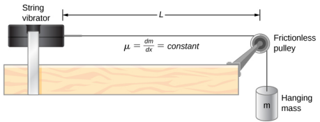 يظهر الهزاز الوتري على يسار الشكل. يتم إرفاق سلسلة على يمينها. يمر هذا فوق البكرة وينزل إلى جانب الطاولة. يتم تعليق كتلة معلقة m منها. البكرة غير قابلة للاحتكاك. المسافة بين البكرة والهزاز الخيطي هي L. وتسمى mu تساوي دلتا m بدلتا x تساوي الثابت.