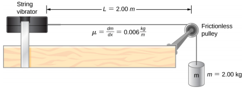 图左侧显示了弦式振动器。 右边附有一根绳子。 它越过滑轮然后沿着桌子的侧面向下移动。 悬挂物 m = 2 kg 悬挂在上面。 滑轮无摩擦。 滑轮和弦振动器之间的距离为 L = 2 m。它被标记为 mu 等于 delta m x delta x 等于 0.006 kg per m。