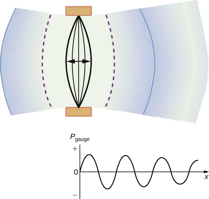 A parte a do diagrama mostra uma corda vibratória mantida fixa nas duas extremidades. É mostrado que a corda vibra para frente e para trás em direção à esquerda e à direita. A compressão e a rarefação do ar são mostradas como arcos em negrito e pontilhados ao redor da corda. A parte b mostra um gráfico de pressão versus distância da fonte. A pressão está ao longo do eixo y e a distância está ao longo do eixo x. O gráfico é uma onda senoidal ao longo do eixo x.