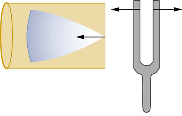 O lado direito mostra um diapasão vibratório com o braço direito do garfo se movendo para a direita e o braço esquerdo se movendo para a esquerda. O lado esquerdo mostra um cone de ondas de ressonância se movendo através de um tubo da extremidade aberta até a extremidade fechada. A ponta do cone está na extremidade aberta do tubo.