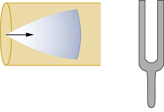 O lado direito mostra um diapasão vibratório. O lado esquerdo mostra um cone de ondas de ressonância refletidas na extremidade fechada do tubo. A ponta do cone está na extremidade fechada do tubo e a boca do cone está se movendo em direção à extremidade aberta do tubo.