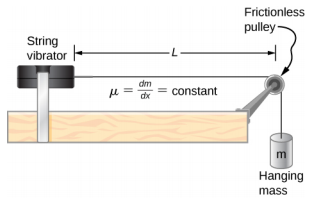 A string vibrator is shown on the left of the figure. A string is attached to its right. This goes over a pulley and down the side of the table. A hanging mass m is suspended from it. The pulley is frictionless. The distance between the pulley and the string vibrator is L. It is labeled mu equal to dm by dx equal to constant.