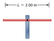 图中显示了一根长度为 L = 2 m 的水平杆，由一根杆子支撑。