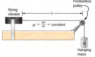 A imagem mostra um vibrador de corda conectado a uma polia sem atrito com uma massa suspensa de m. A distância da corda que conecta o vibrador à polia é L.
