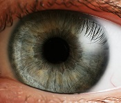 mindtouch.page#thumbnail