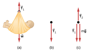 Figure a shows a baby in a basket, with arrow T1 pointing up and arrow w pointing down. Figure b shows a free body diagram of arrow T1 pointing down. Figure c shows a free body diagram of T1 pointing down, T2 pointing up and mg pointing down.