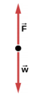 Um diagrama de corpo livre com a seta F apontando para cima e a seta w apontando para baixo.