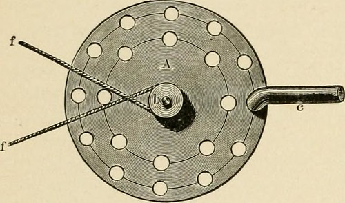 Image from page 525 of "A text-book of human physiology" (1906)