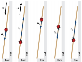 Five illustrations of a ladybug on a ruler leaning against a wall. The +u hat direction is toward the floor parallel to the ruler, and the – u hat direction is up along the ruler. In the first illustration, the ladybug is located near the middle of the ruler and vector D sub 1 points down the ruler. In the second illustration, the ladybug is located lower, where the head of vector D sub 1 is in the first illustration, and vector D sub 2 points up the ruler. In the third illustration, the ladybug is located higher, where the head of vector D sub 2 is in the second illustration, and vector D sub 3 points down the ruler. In the fourth illustration, the ladybug is located lower, where the head of vector D sub 3 is in the third illustration, and vector D sub 4 points down the ruler. In the fifth illustration, the ladybug is located lower, where the head of vector D sub 4 is in the fourth illustration, and vector D sub 5 points up the ruler.