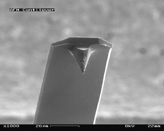 1024px-AFM_(used)_cantilever_in_Scanning_Electron_Microscope,_magnification_1000x.jpg