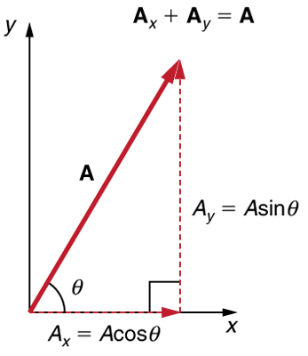A dotted vector A sub x whose magnitude is equal to A cosine theta is drawn from the origin along the x axis. From the head of the vector A sub x another vector A sub y whose magnitude is equal to A sine theta is drawn in the upward direction. Their resultant vector A is drawn from the tail of the vector A sub x to the head of the vector A-y at an angle theta from the x axis. Therefore vector A is the sum of the vectors A sub x and A sub y.