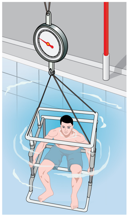 O peso de uma pessoa pode ser determinado enquanto submersa em um tanque de gordura. Com base nisso, a porcentagem do peso corporal pode ser calculada.