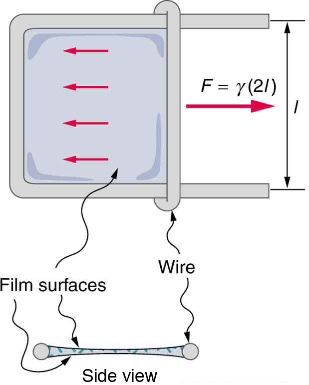 O dispositivo de fio deslizante que é usado para medir a tensão superficial mostra a força exercida nas duas superfícies do líquido. Essa força permanece constante até o ponto de ruptura do filme.