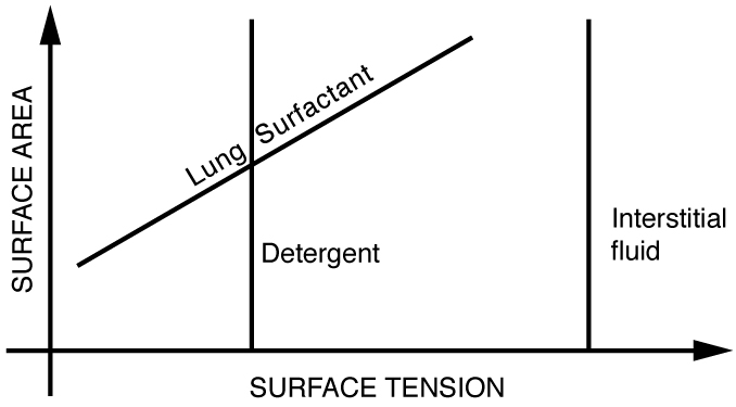 Gráfico da tensão superficial em função da área superficial para detergentes e fluidos intersticiais.