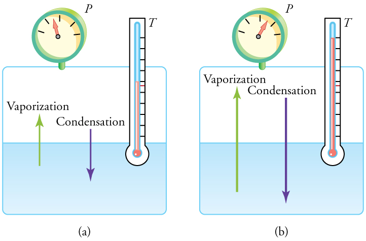 Figure a shows a closed system containing a liquid and a gas. A thermometer with one end in the liquid indicates an unspecified temperature, and a pressure gauge indicates an unspecified pressure. A vector from the liquid to the gas represents the rate of vaporization, and a vector from the gas into the liquid represents the rate of condensation. The two vectors are equal in length, illustrating that the two rates are equal. Figure b is essentially the same as figure a, except that the pressure, temperature, and rates of condensation and vaporization are all greater than in figure a. The rates of vaporization and condensation in figure b are equal to each other, even though they are greater than the rates in figure a.