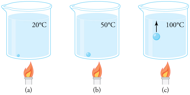 Um copo de água sendo aquecido por uma chama. O copo é mostrado em três momentos diferentes. No primeiro, a vinte graus C, uma pequena bolha fica no fundo do copo. Na segunda etapa, a temperatura da água é de cinquenta graus C e a bolha é maior, embora ainda esteja no fundo do copo. Na terceira etapa, a temperatura da água é de cem graus C. A bolha é maior e está subindo em direção à superfície.