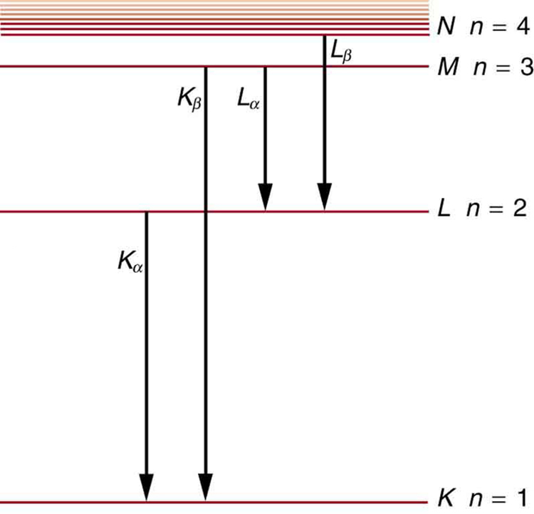 Diferentes níveis de energia são mostrados na forma de linhas horizontais. A linha na parte inferior mostra que o nível de energia para n é igual a um para a camada K. A uma distância acima dessa linha, outra linha horizontal mostra que o nível de energia para n é igual a dois para a concha L. Da mesma forma, outras linhas são mostradas para as conchas M e N. À medida que nos movemos de baixo para cima, a distância entre as linhas diminui e, perto do final, algumas linhas são mostradas muito próximas umas das outras . Cada nível é rotulado de acordo com o raio X característico da concha.