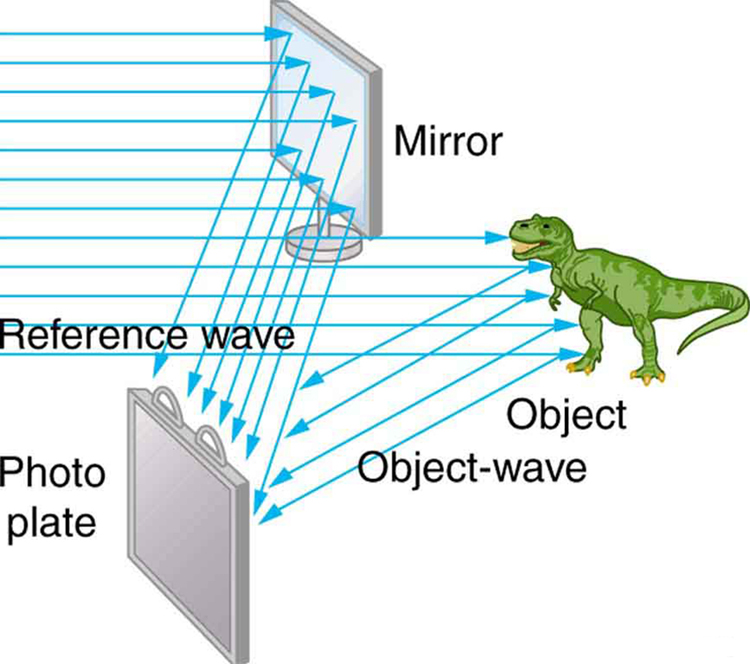 A representação esquemática mostra que a luz coerente de um laser incide sobre um objeto que é um dinossauro e também sobre um espelho inclinado, que reflete a luz em um ângulo. Em seguida, a luz refletida do espelho e a onda do objeto refletido caem em uma placa fotográfica simultaneamente.