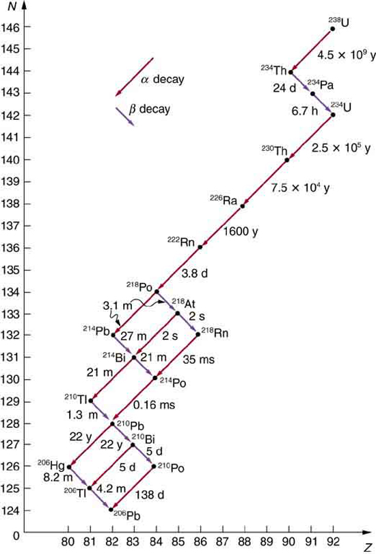 É mostrado um gráfico no qual o decaimento de alfa e beta é mostrado. Também são mostradas as meias-vidas de cada isótopo. O urânio decai em um modo, mas alguns isótopos decaem em mais de um modo. Finalmente, um isótopo estável de chumbo resulta.