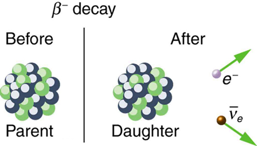 A imagem mostra o núcleo pai antes do decaimento beta e o núcleo filho após o decaimento beta.