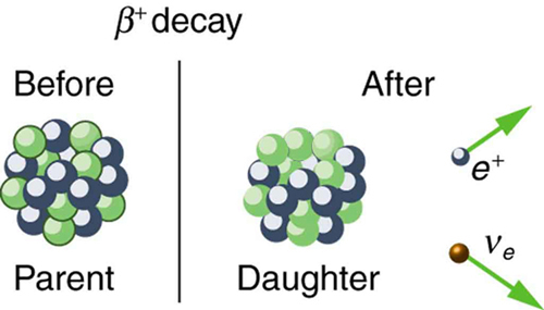 A imagem mostra o núcleo pai antes do decaimento beta mais e o núcleo filho após o decaimento beta mais, o que resulta em um elétron carregado positivamente chamado pósitron.