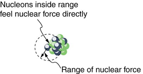 A imagem mostra vários núcleons esféricos dentro de um núcleo. É mostrado um caminho circular tracejado que mostra o alcance da força nuclear e os nucleons dentro dessa faixa sentem a força nuclear diretamente.