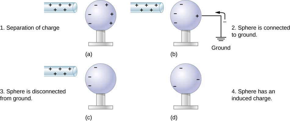 In part a, a rod with positive sign is brought near a neutral metal sphere. The surface of the sphere near the rod has negative signs and the surface far from it has positive signs. In part b, the sphere is connected to ground by a wire attached to the surface farthest from the rod. Negative charge is shown moving from the ground up to the sphere. The negative charges on the sphere near the rod are unaffected but there are fewer positive charges where the sphere is grounded. In part c, the sphere is disconnected from ground. The rod with positive sign is close to one surface of the sphere where negative charges are shown, and the other surface has no charges shown. In part d, the positive rod is absent, and the sphere has negative signs on it uniformly distributed on its surface.