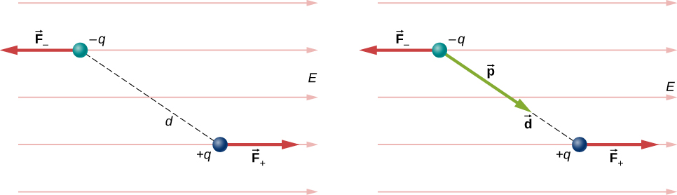 Na figura, um dipolo em um campo elétrico uniforme é mostrado junto com as forças nas cargas que compõem o dipolo. O dipolo consiste em uma carga, menos q, e uma carga positiva, mais q, separada por uma distância d. A linha que conecta as cargas está em um ângulo com a horizontal, de modo que a carga negativa fique acima e à esquerda da carga positiva. O campo elétrico E é horizontal e aponta para a direita. A força na carga negativa está à esquerda e é rotulada como F menos. A força na carga positiva está à direita e é rotulada como F plus. A Figura b mostra o mesmo diagrama com a adição do vetor de momento dipolar, p, que aponta ao longo da linha que conecta as cargas, da carga negativa à positiva.
