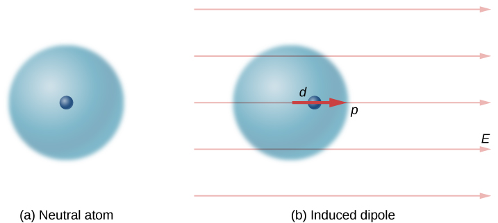 Figure a illustrates a simplified model of a neutral atom. The nucleus is at the center of a uniform sphere negative charge. Figure b shows the atom in a horizontal, uniform electric field, E, that points to the right. The nucleus has shifted to the right a distance d, so that it is no longer at the center of the electron sphere. The result is an induced dipole moment, p, pointing to the right.