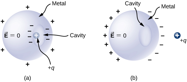 Figure a shows a metal sphere with a cavity within it. The sphere is labeled vector E equal to zero. It has plus signs around it. The cavity has minus signs around it. A positive charge plus q is within the cavity. Figure b shows the same metal sphere with a cavity in it. The sphere is labeled vector E equal to zero. There is nothing within the cavity. A positive charge labeled plus q is outside the sphere. The side of the sphere facing q has minus signs on it. The opposite side has plus signs on it.
